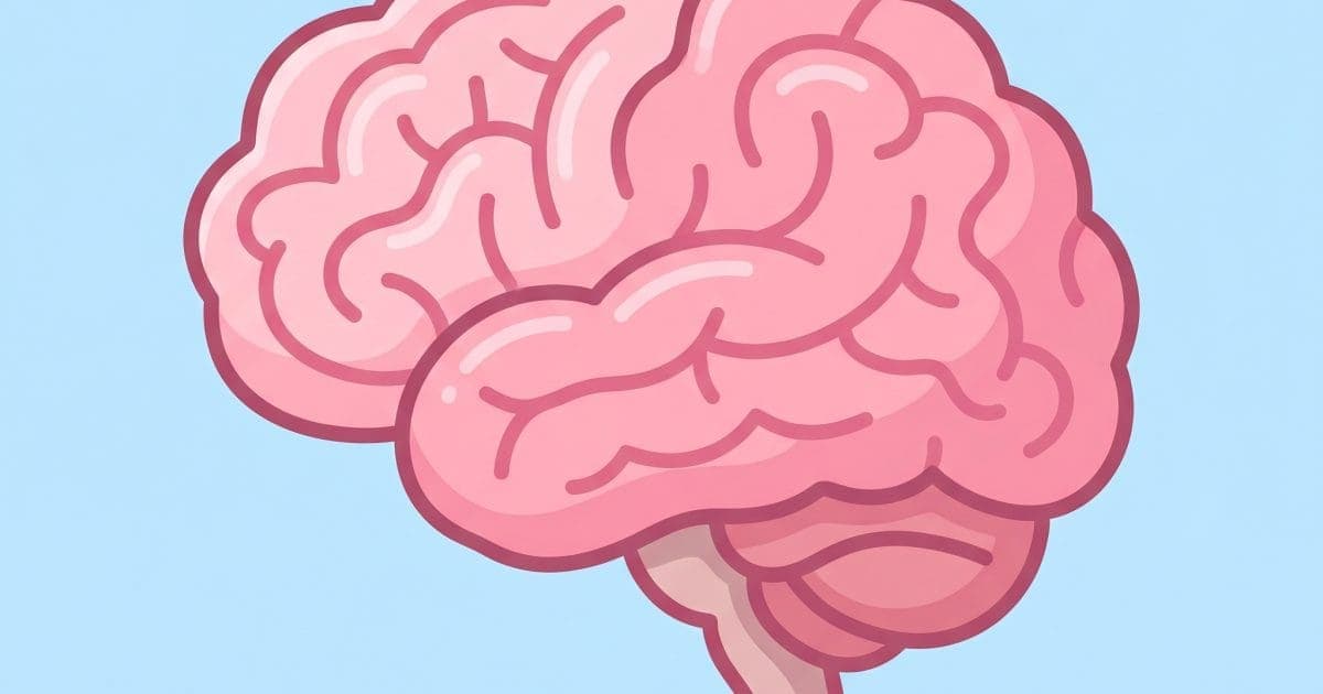 Perplexity Builds Brain To Teach AI Agents - quantumzeitgeist.com