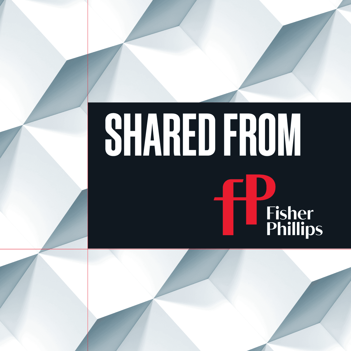 Employer Playbook for Attacking AI Use in Pro Se Litigation: A Roundup of Recent Court Sanctions Against ChatGPT Plaintiffs - Fisher Phillips
