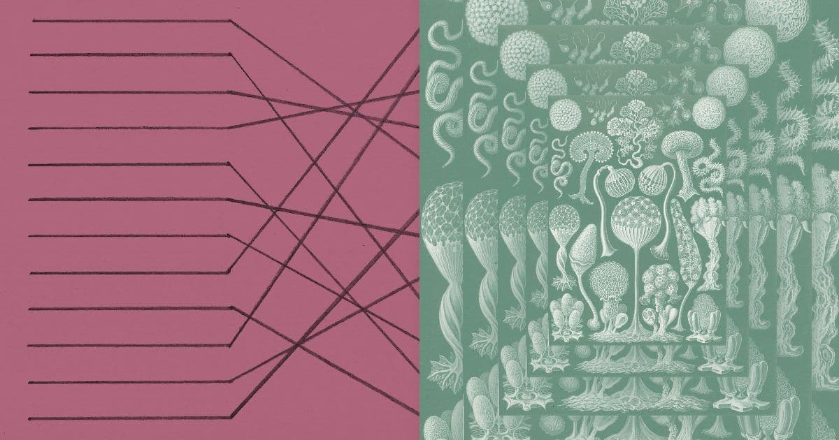 AI models may be capable of self-replicating without access to a datacenter